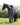 EQUIDRY women's thin fleece long waterproof horse riding coat in charcoal/penelope pink with horse