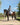 EQUIDRY waterproof horse riding raincoat All Rounder Original thick fleece Women's Charcoal/Turquoise rider on horse