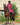 EQUIDRY waterproof horse riding raincoat All Rounder Original thick fleece Women's plum/navy on horse