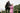 EQUIDRY waterproof horse riding raincoat | All Rounder Original Women's | valerian with horse