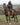 EQUIDRY | Parka | Women's | Black - waterproof riding and leisure coat with padded inner detachable faux fur trim rider on horse hood over hat
