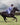 EQUIDRY women's long waterproof horse riding coat in blue lilac/grey showing rider galloping on horse