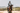 Charcoal/Grey EQUIDRY EQUIMAC LONG waterproof raincoat worn by male horse rider
