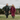 The Evolution: EQUIDRY’s Ultimate Waterproof Riding Coat