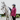 Spring Riding Coat Buying Guide: What Features Matter Most