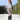 Waterproof Breeches