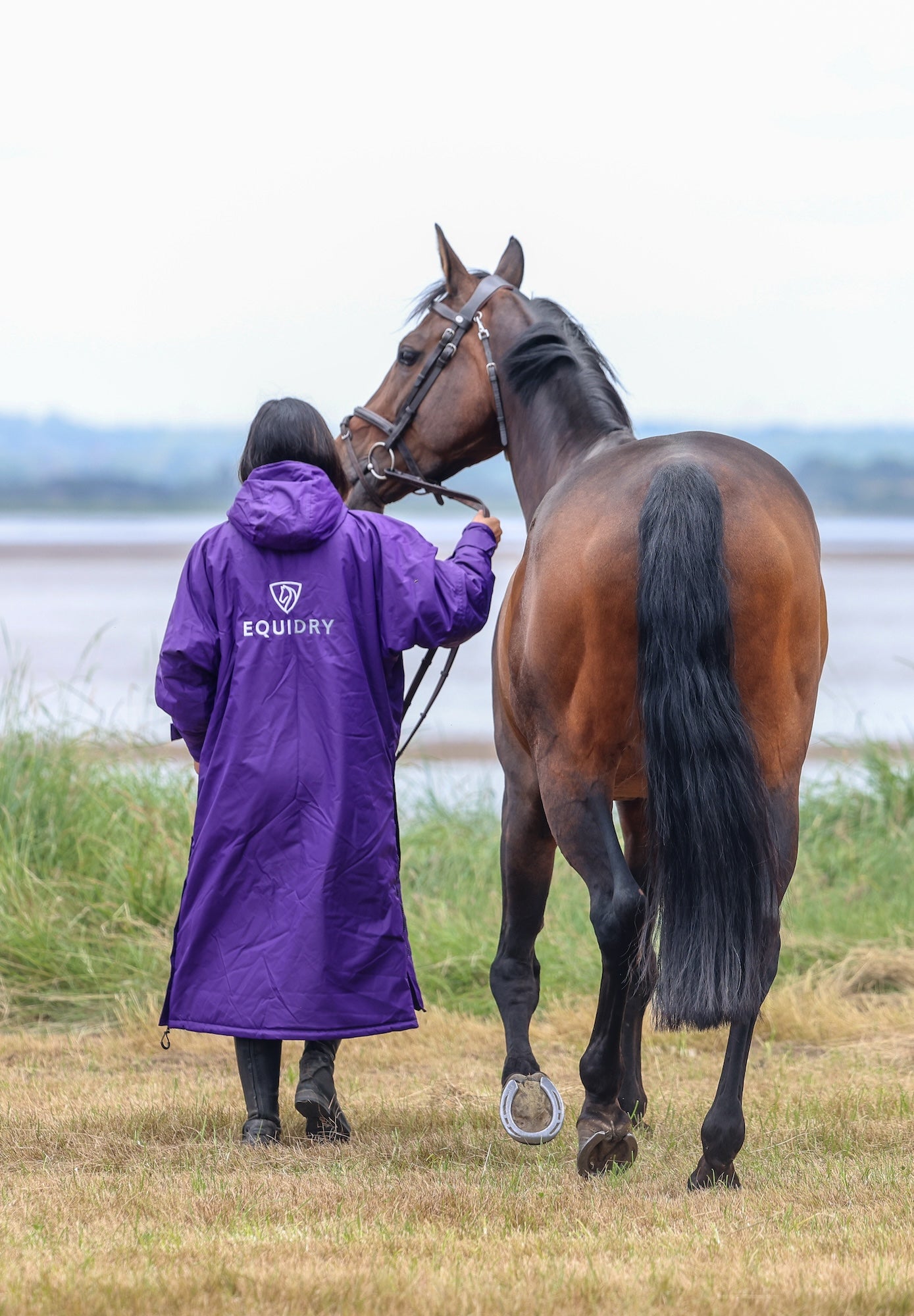 EQUIDRY women's long waterproof horse riding coat in deep purple/grey modelled by rider walking with horse