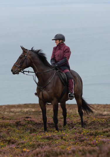 Freya Insulated Waterproof Riding Trousers | Burgundy/Black