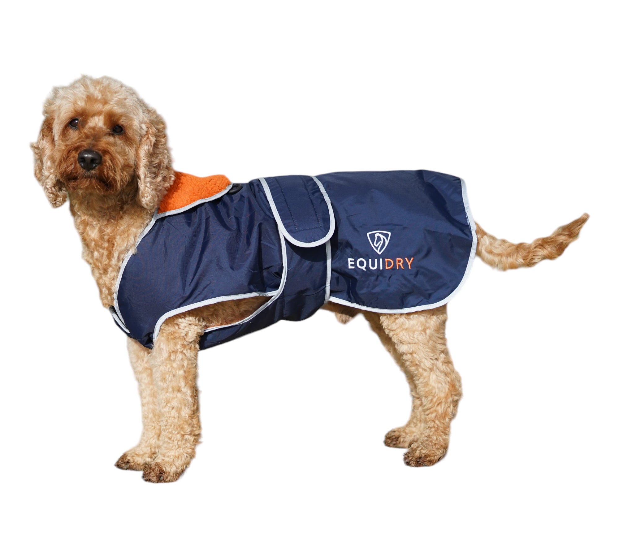EQUIDRY | Dog Coat | Navy