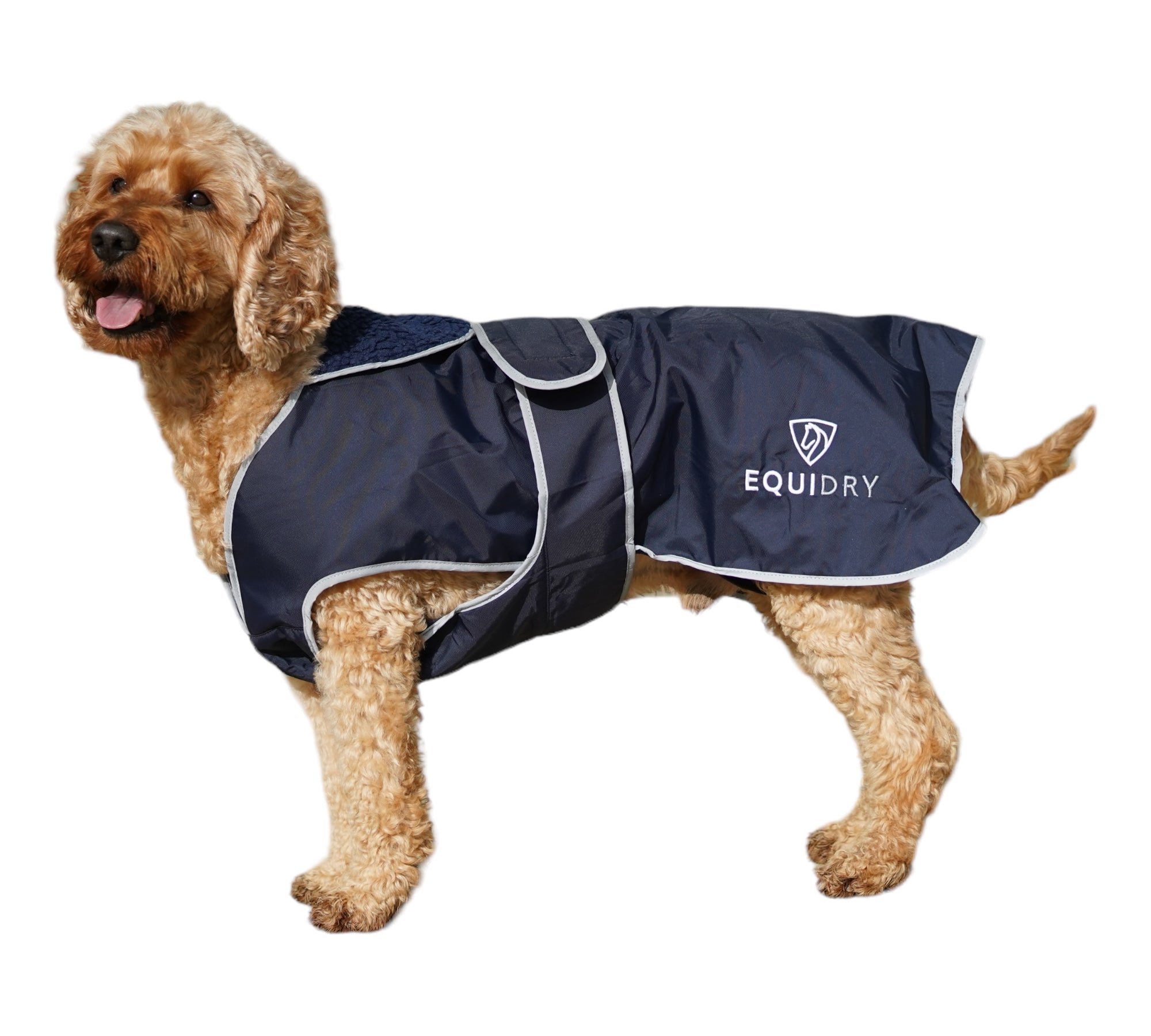 EQUIDRY | Dog Coat | Teal
