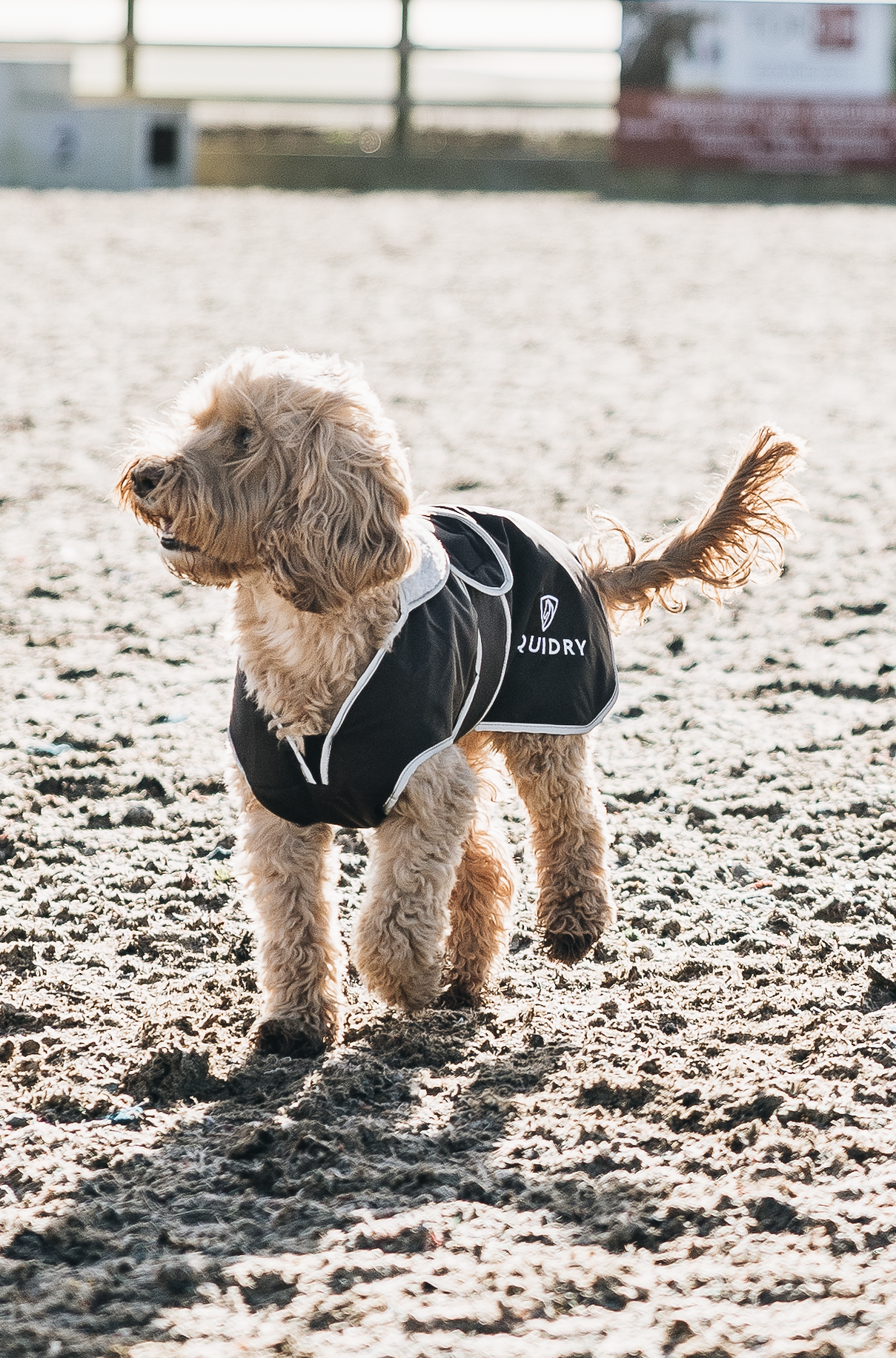 EQUIDRY | Dog Coat | Black/Grey - EQUIDRY