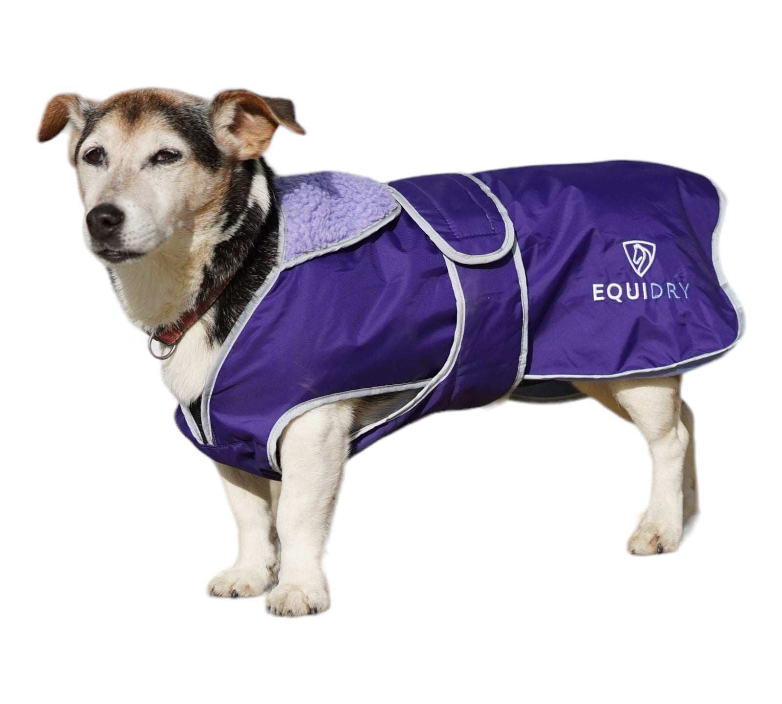 EQUIDRY | Dog Coat | Deep Purple/Purple - EQUIDRY