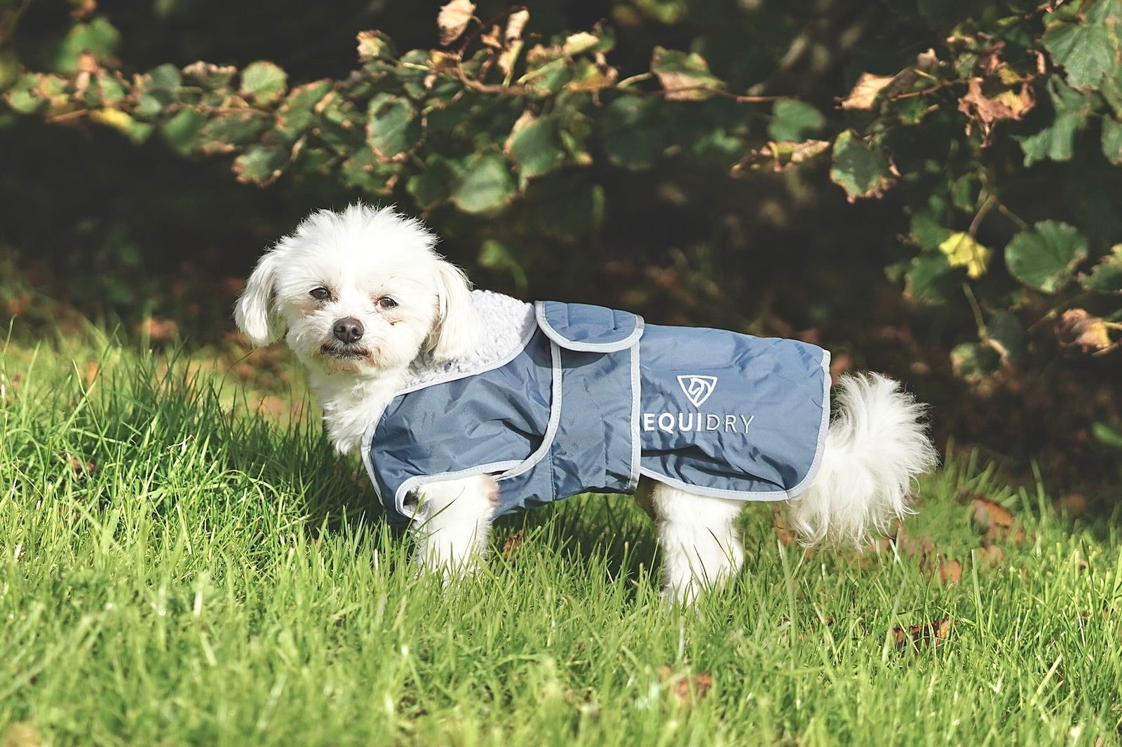 EQUIDRY | Dog Coat | Steel Blue/Grey - EQUIDRY