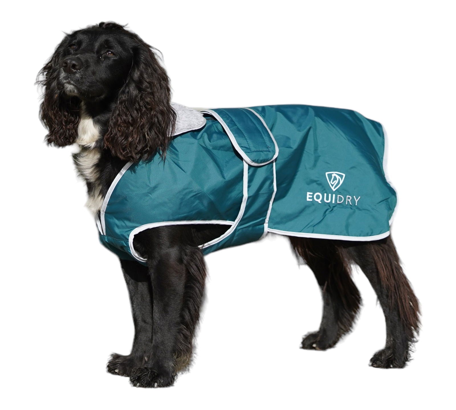 EQUIDRY | Dog Coat | Teal/Grey - EQUIDRY