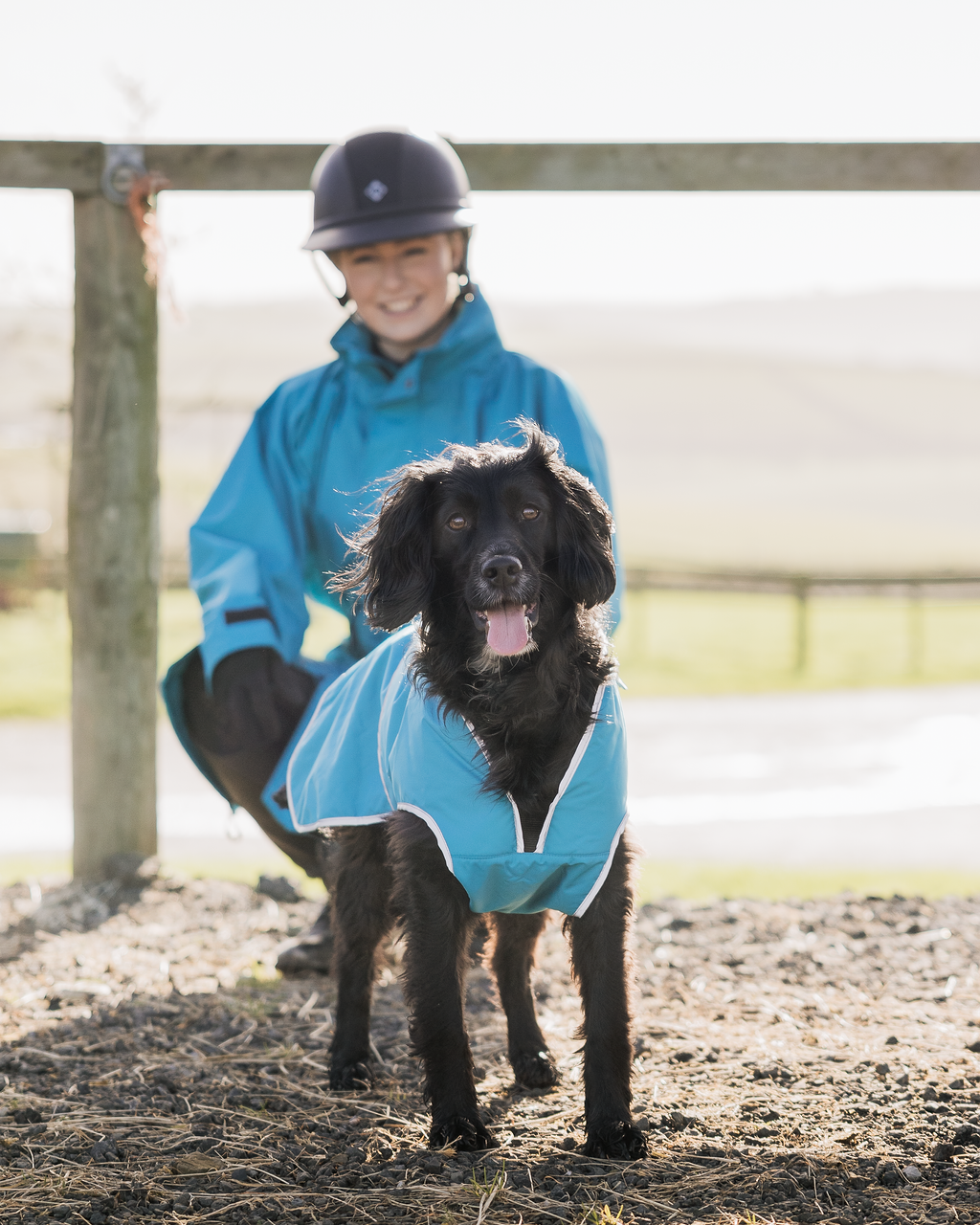 EQUIDRY | Dog Coat | Turquoise - EQUIDRY