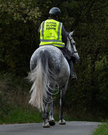 EQUIDRY | Hi Vis Vest | Oversized