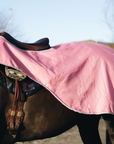 EQUIDRY Evolution Lux Women's Warm Waterproof Winter Horse Riding Coat Thick Fleece Lining with Faux Fur Trim Hood dusky pink exercise sheet on horse 