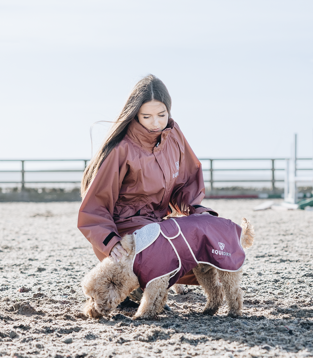 EQUIDRY chestnut Equimac long waterproof lightweight rain coat worn by dog walker pictured with dog 