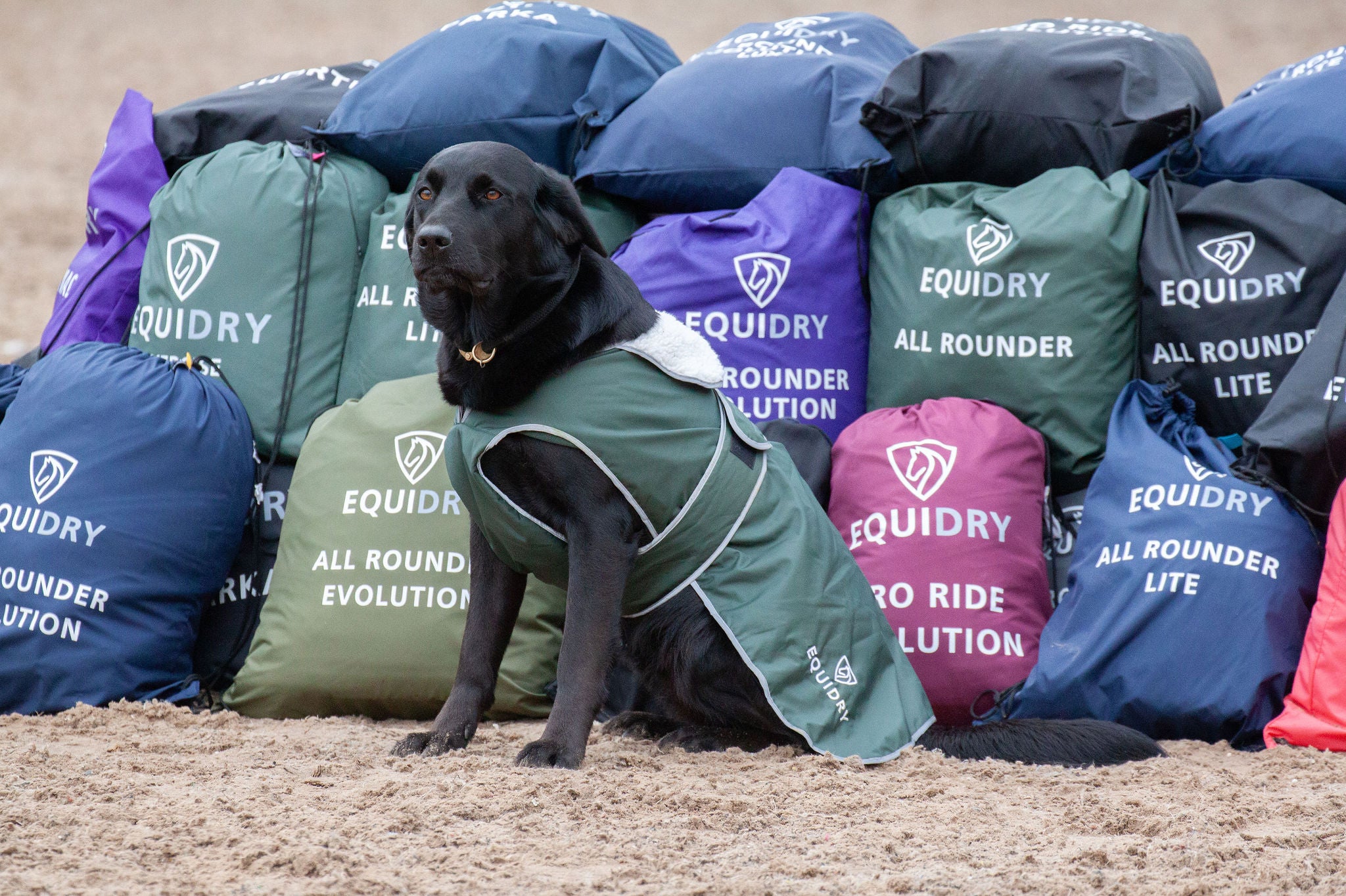 EQUIDRY | The Ultimate Equestrian Waterproof Horse Riding Coat