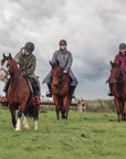 EQUIDRY women's long waterproof horse riding coat in plum/navy group shot on horses also showing olive green and charcoal/pale pink 