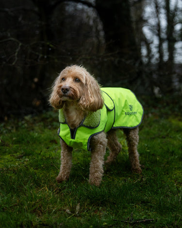 Waterproof Dog Coat | Hi-Vis Yellow