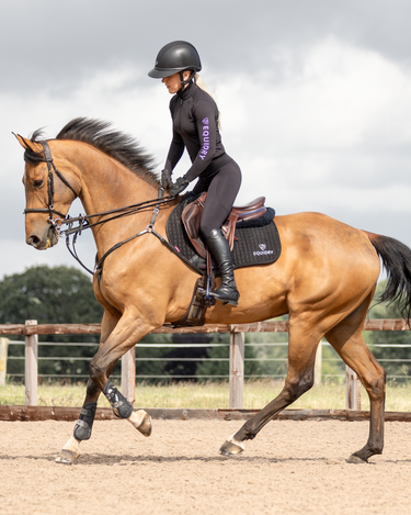 Women's Water Repellent Base Layer | Black/Lilac